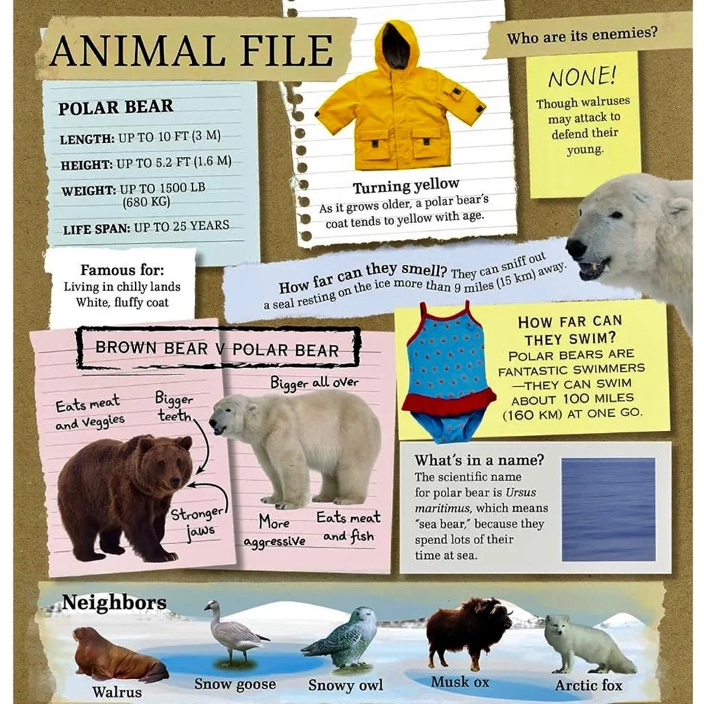 AMAZING GIANT WILD ANIMALS BOOK